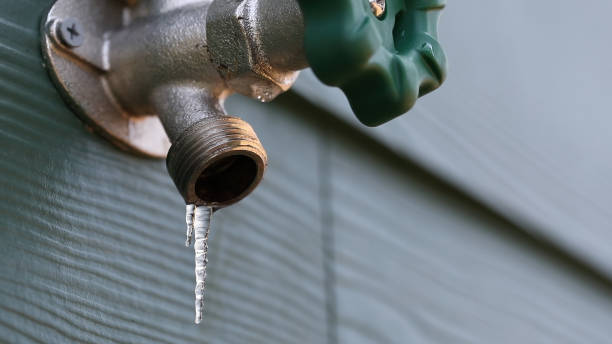 Best Plumbing Inspection Services  in Bronte, TX